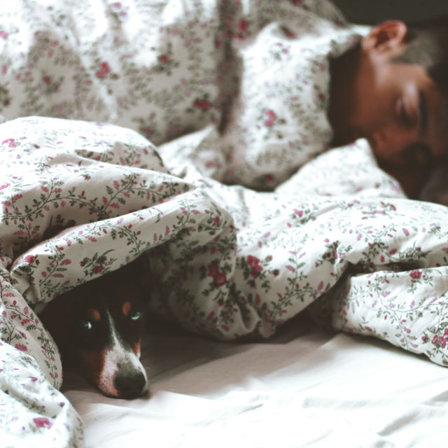 いびき対策グッズ